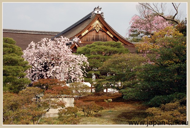 3791698_Kioto,-Imperatorskii-dvorec_(2) (620x419, 121Kb)