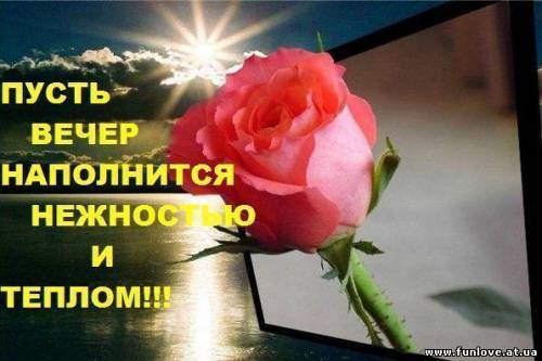 ПУСТЬ ВЕЧЕР НАПОЛНИТСЯ НЕЖНОСТЬЮ И ТЕПЛОМ! (500x333, 26Kb)