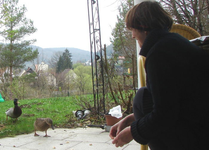 DSC09366 (700x501, 188Kb)