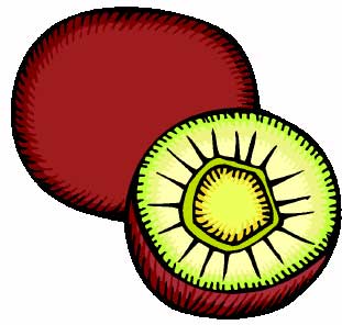 fruit_kiwi (311x296, 18Kb)