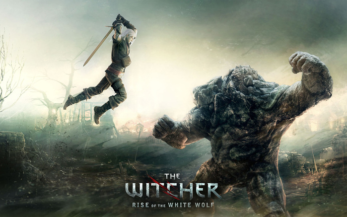 The-Witcher-2-1912 (700x437, 123Kb)