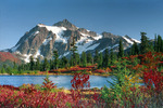  Picture Perfect, Snoqualmie National Forest, Washington (700x466, 200Kb)