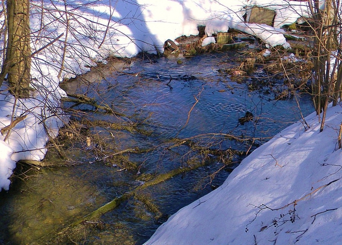 4344169_104-1045-1 (700x503, 361Kb)