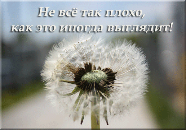 Ни плохо. Не все так плохо. Все не так. Что,всё так плохо ? Картинки. Не все так плохо картинки.