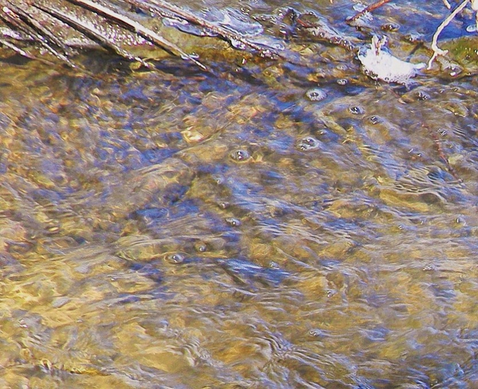 4344169_104-1045-4 (700x569, 377Kb)