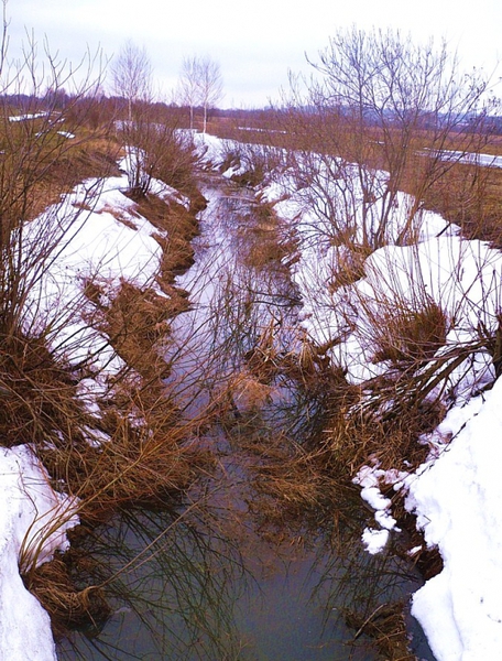 4344169_130412121 (456x600, 276Kb)