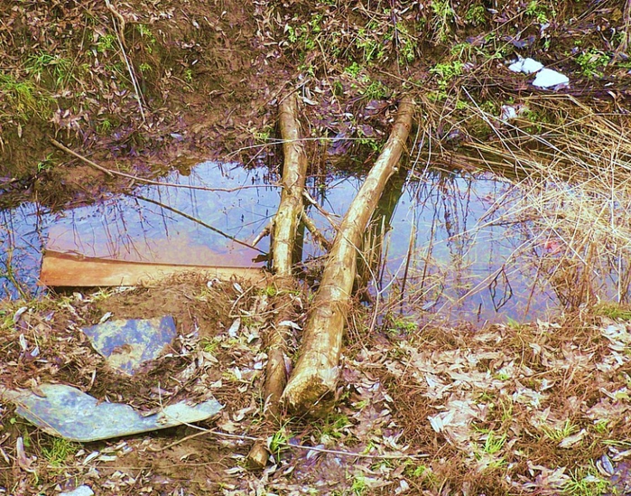 4344169_130412261 (700x549, 454Kb)