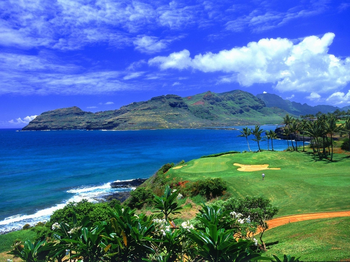 3935767_Golf_Hawaii (700x525, 338Kb)