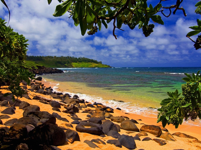 3935767_Beach_Shade_Moloaa_Kauai_Hawaii (700x525, 346Kb)