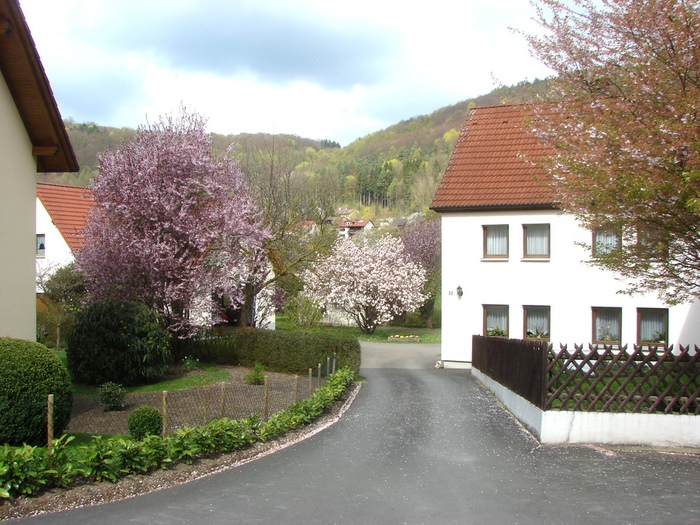 DSC09554 (700x525, 199Kb)