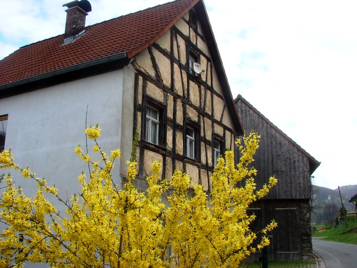 DSC09559 (700x525, 209Kb)