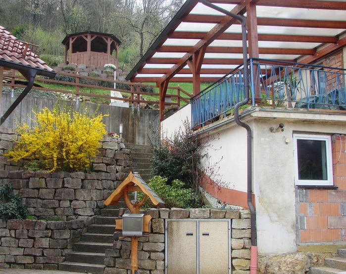 DSC09558 (700x554, 237Kb)