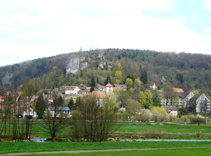 DSC09561 (700x519, 186Kb)