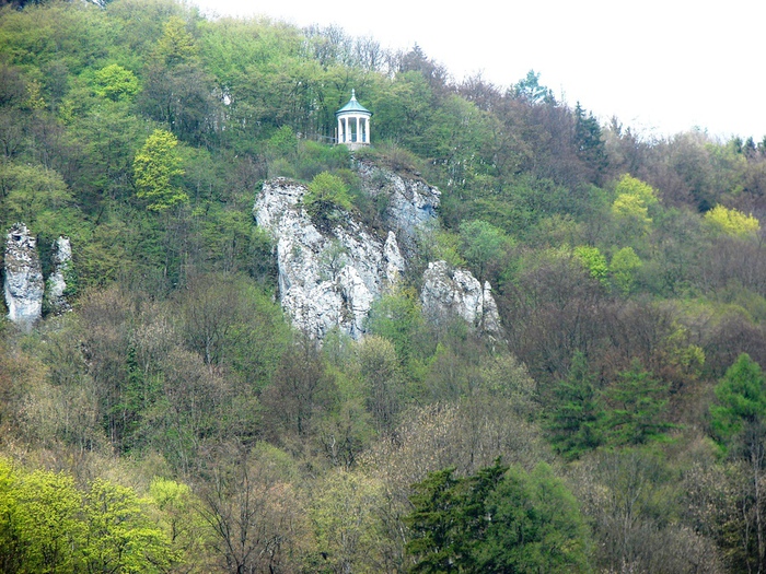 DSC09563 (700x525, 235Kb)