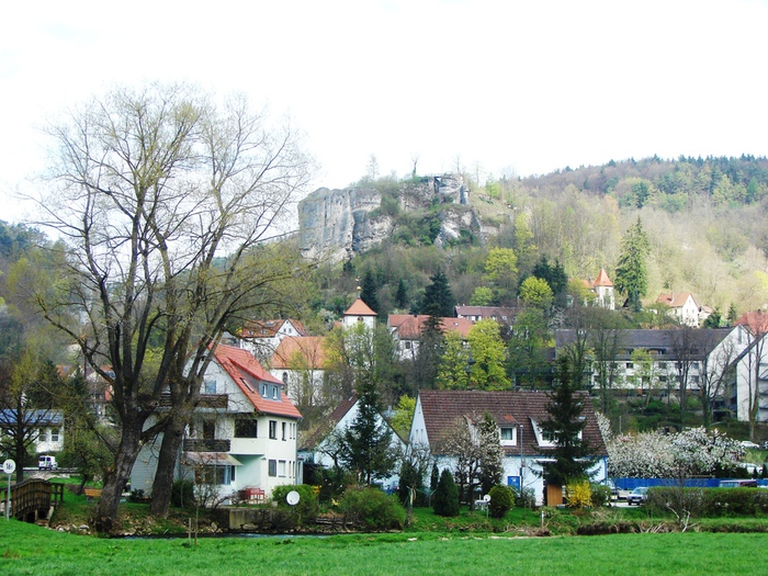 DSC09567 (700x525, 222Kb)