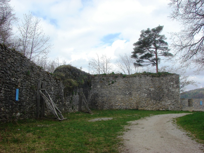 DSC09588 (700x525, 195Kb)