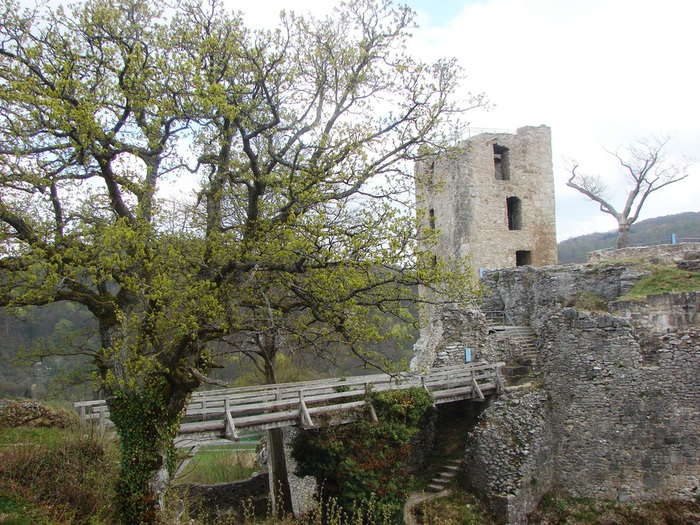 DSC09605 (700x525, 213Kb)