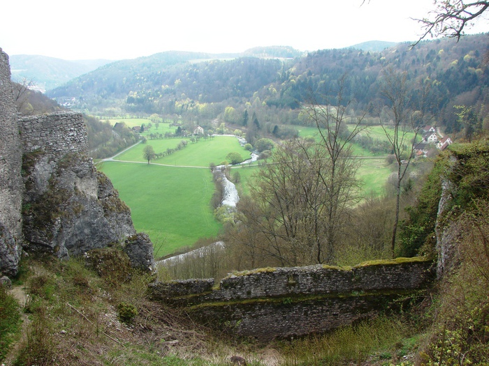 DSC09607 (700x525, 204Kb)