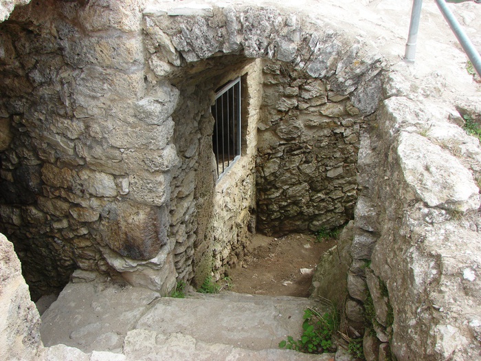 DSC09617 (700x525, 209Kb)