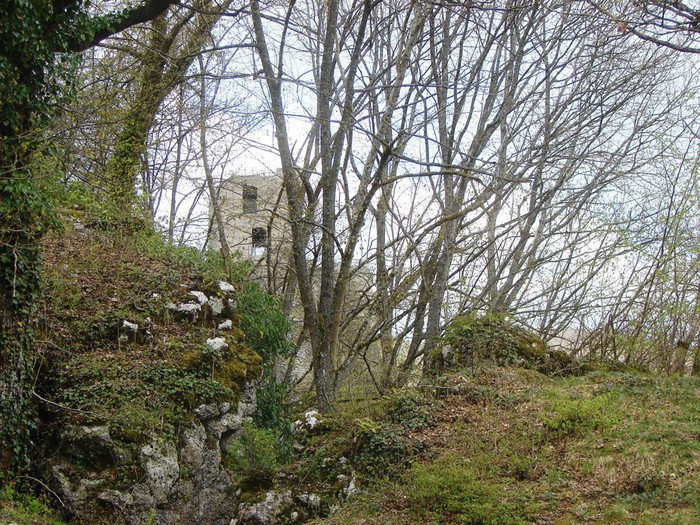 DSC09637 (700x525, 210Kb)