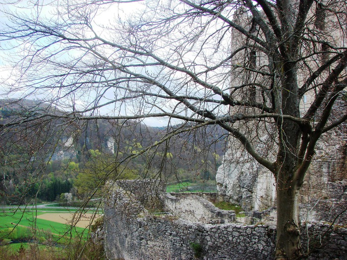 DSC09609 (700x525, 221Kb)