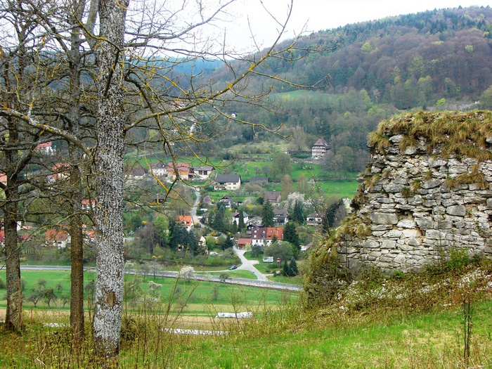 DSC09600 (700x525, 251Kb)