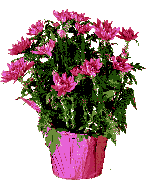 69441884_Buket6 (155x180, 14Kb)