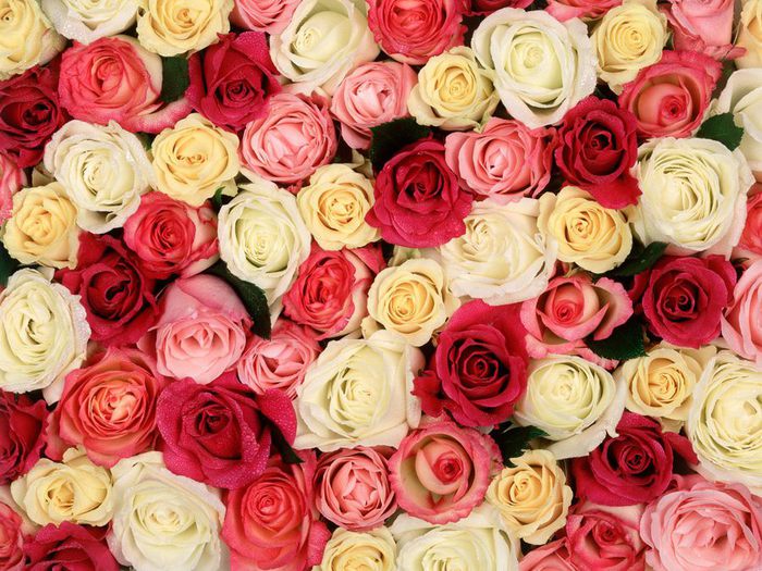 35_flowers_for_woman (700x525, 105Kb)