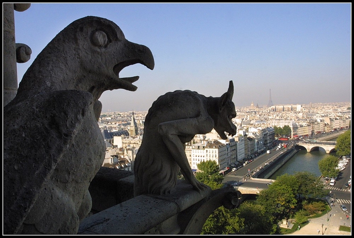 4085867_notre_dame_de_paris_photographies_14_20100226_1392561619 (700x471, 252Kb)