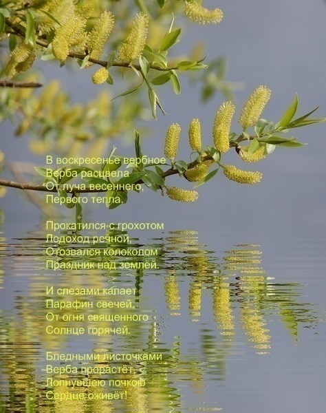  [1] (474x600, 103Kb)