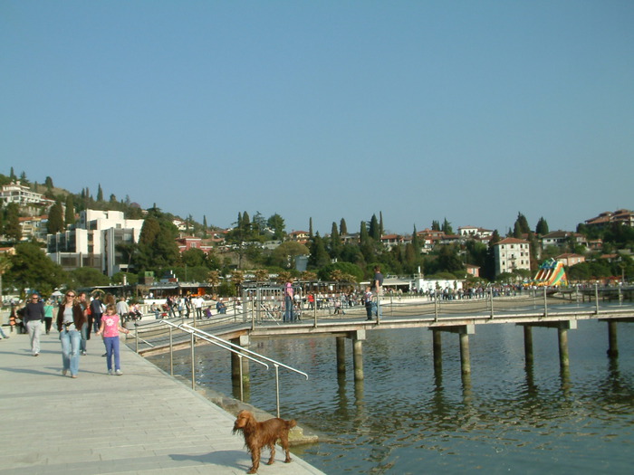 DSCF0047 (700x525, 101Kb)