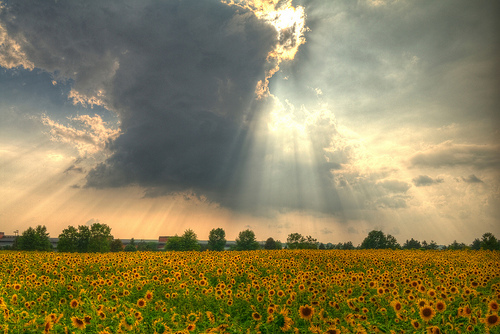 3587918_tumblr_liwe3uOhf71qh3rjlo1_500_large (500x334, 126Kb)