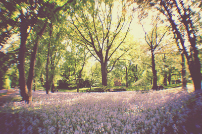 3587918_tumblr_ljieray47s1qakm6lo1_400_large (400x266, 128Kb)