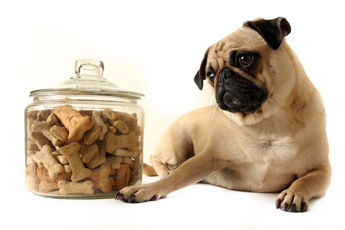 4269403_Fotolia_10305830_S (700x466, 108Kb)