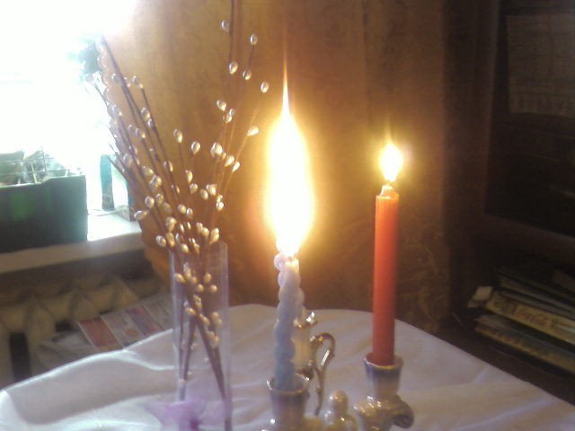 Photo-0538 (640x480, 38Kb)