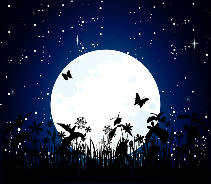 moon_night_nebesnoe.info_ (700x612, 257Kb)