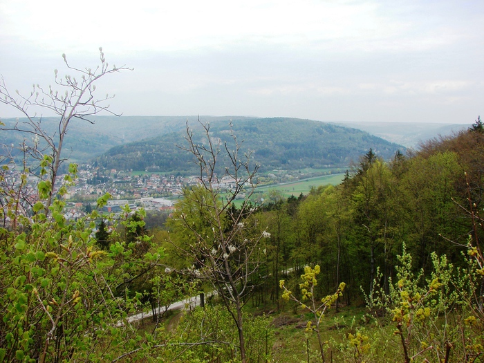 DSC09730 (700x525, 223Kb)