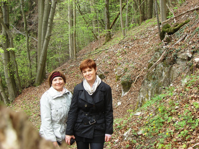 DSC09708 (700x525, 225Kb)