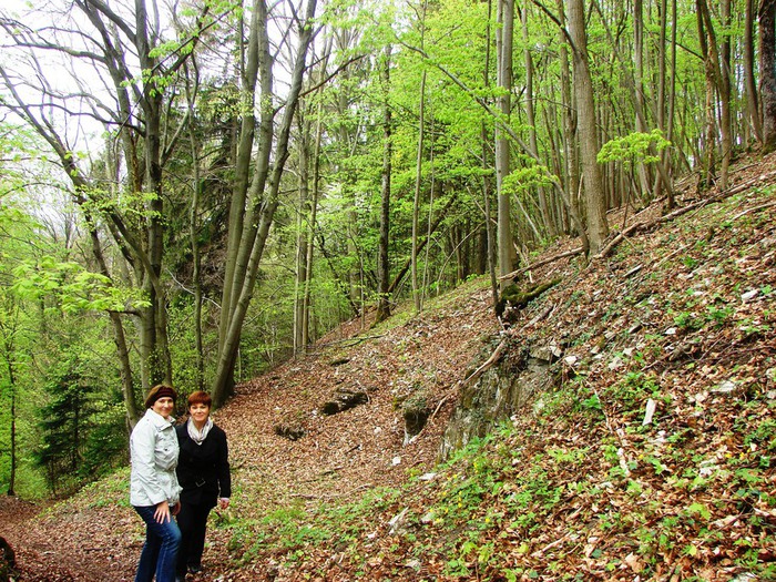 DSC09709 (700x525, 241Kb)