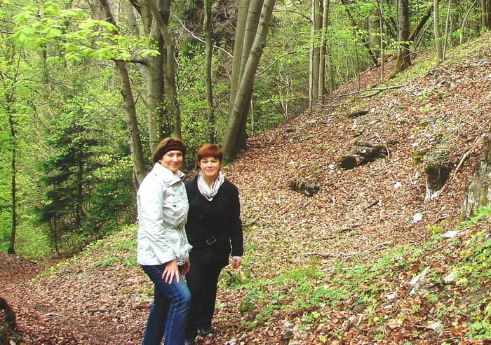 jlk (700x493, 214Kb)