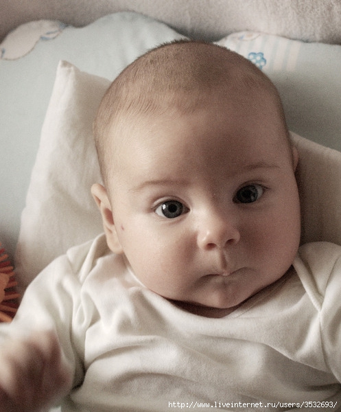 DSC03633 (497x600, 164Kb)