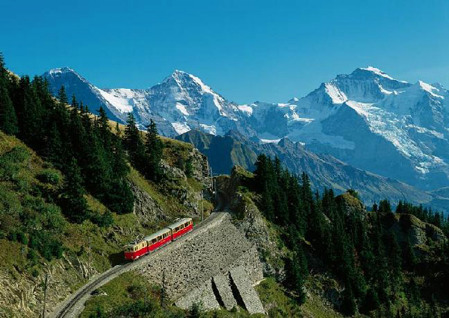 bild_bob[1] (648x458, 245Kb)