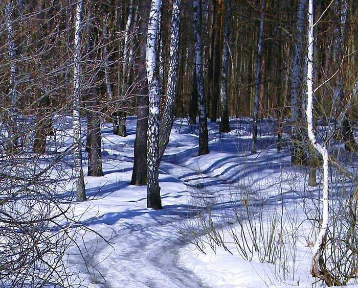 4344169_10411111 (700x564, 205Kb)