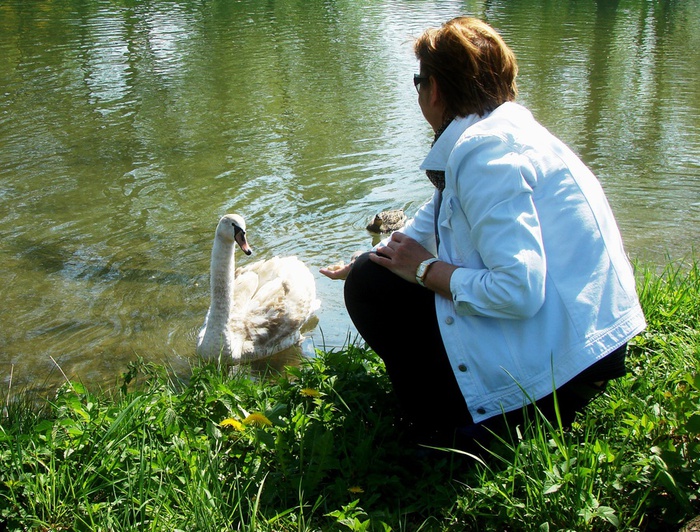 DSC09895 (700x532, 225Kb)