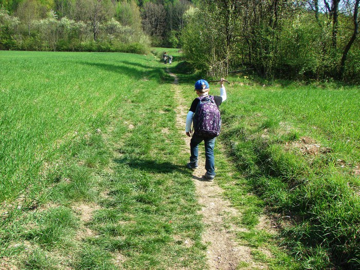 DSC09934 (700x525, 203Kb)