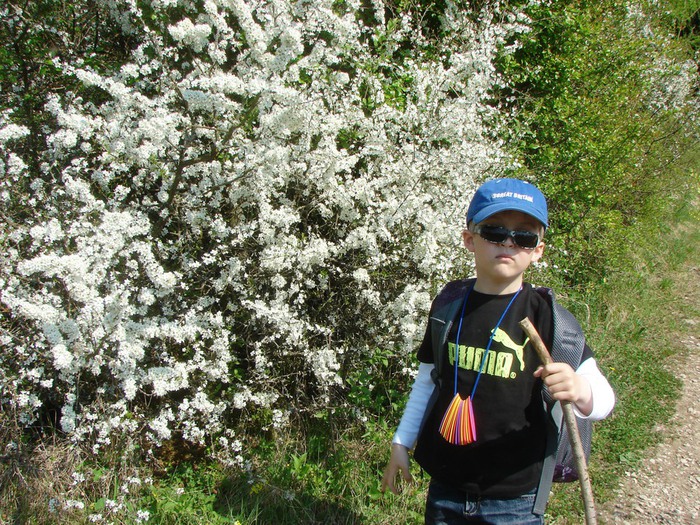 DSC09941 (700x525, 221Kb)