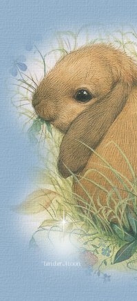 Happy_Spring_Top_Image_1x1 (199x436, 40Kb)