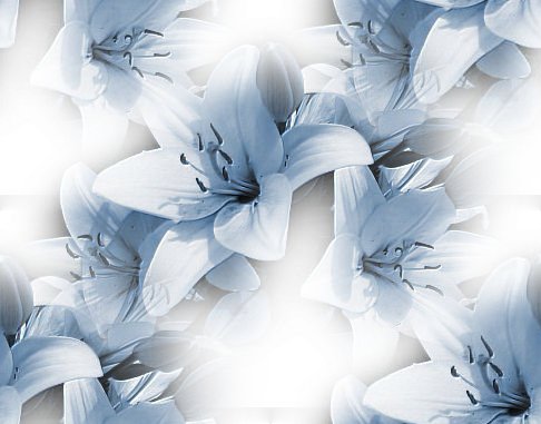16362630004b314d33dd4575087d0b78ca622ce6fd (486x381, 33Kb)