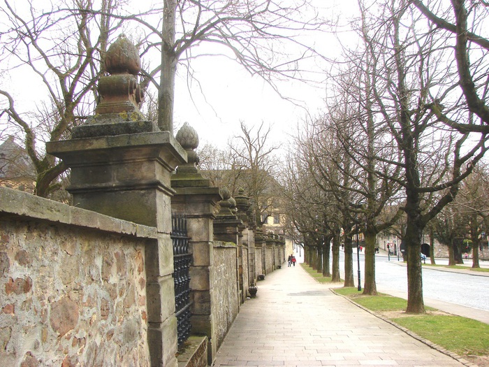 DSC08872 (700x525, 196Kb)