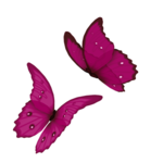  Butterflysmm (450x450, 74Kb)